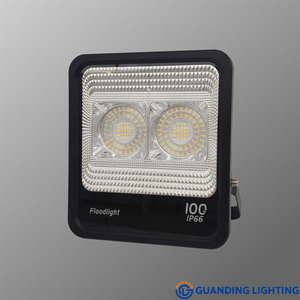 Flood Light GD-P10