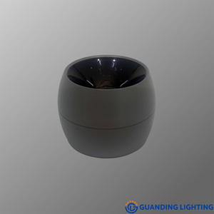 Apple Down Light